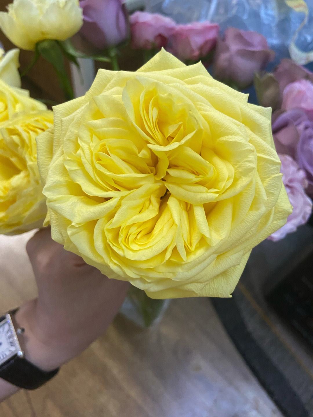 半岛体育官网首页-波兰女神奇迹翻盘，比利时豪门惨败出局